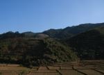 Rice paddies and hill forest