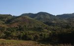 Agricultural landscape in Laos