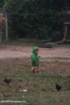 Hmong child in dragon jacket