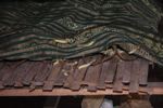 Silkworms spinning slik under cloth