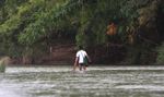 Man collecting riverweek in the Nam Tha River