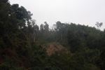 Deforestation along the Nam Tha River