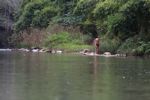 Man poling a raft up the Nam Tha River