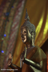 Peaceful buddha