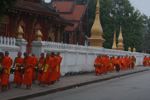 Procession of monks in Luang Prabang
