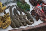 Bananas, squirrels, colorful songbirds, tadpoles, riverweed, and dried bamboo rats in the Luang Prabang morning market