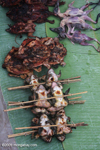 Grilled frogs on a stick