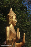 Peaceful buddha statue
