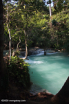 Milky turquoise waters of Tad Kwang Si