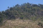 Deforestation on the border of  Nam Et-Phou Louey National Protected Area 