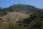 Deforestation on the border of  Nam Et-Phou Louey National Protected Area 