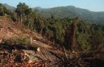 Deforestation near Nam Et-Phou Louey National Protected Area 