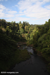 Rainforest river in Laos