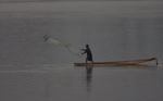 Throw-net fishing on the Mekong