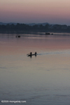 Fisherman at daybreak on the Mekong
