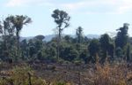 Complete deforestation in Laos