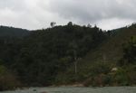 Rubber plantation in Laos
