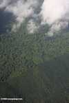 Aerial view of an oil palm plantation and a heavily logged natural forest -- borneo_2802