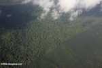 Aerial view of an oil palm plantation and a heavily logged natural forest -- borneo_2803