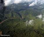 Terraced oil palm plantations and natural rain forest