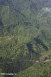 Oil palm plantations in Malaysian Borneo -- borneo_2823
