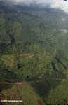 Oil palm plantations in Malaysian Borneo -- borneo_2825