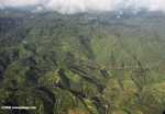 Oil palm plantations in Malaysian Borneo -- borneo_2827