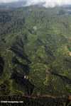 Oil palm plantations in Malaysian Borneo -- borneo_2830