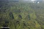 Oil palm plantations in Malaysian Borneo -- borneo_2834