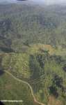 Oil palm plantations in Malaysian Borneo -- borneo_2836