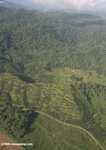 Oil palm plantations in Malaysian Borneo -- borneo_2838