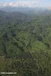 Oil palm plantations in Malaysian Borneo -- borneo_2848