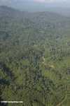 Oil palm plantations in Malaysian Borneo -- borneo_2851