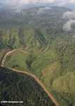 Oil palm plantations in Malaysian Borneo -- borneo_2853