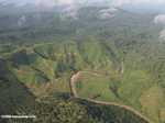 Oil palm plantations in Malaysian Borneo -- borneo_2855