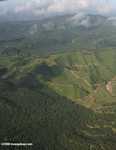Oil palm plantations in Malaysian Borneo -- borneo_2857