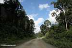 Logging road in Borneo -- borneo_2896