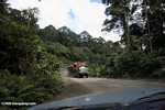 Logging truck carrying timber out of the Malaysian rainforest -- borneo_2907