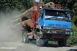 Logging truck carrying timber out of the Malaysian rainforest -- borneo_2912