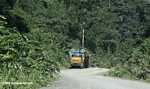 Logging truck carrying timber out of the Malaysian rainforest -- borneo_2913