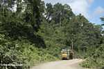 Logging truk yang membawa kayu keluar dari hutan hujan Malaysia