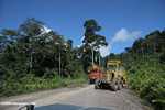 Tractor and a logging truck on a logging road -- borneo_2922