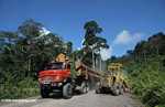 Tractor and a logging truck on a logging road -- borneo_2924