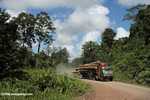 Logging truck carrying timber out of the Malaysian rainforest -- borneo_2930
