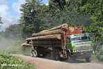 Logging truck carrying timber out of the Malaysian rainforest -- borneo_2931