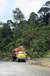 Logging truck carrying timber out of the Malaysian rainforest -- borneo_2932