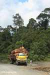 Logging truck carrying timber out of the Malaysian rainforest -- borneo_2933