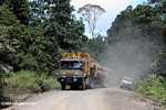 Logging road in Borneo -- borneo_2942