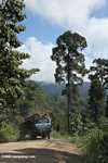 Logging truck carrying timber out of the Malaysian rainforest -- borneo_2944