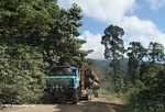 Logging truck carrying timber out of the Malaysian rainforest -- borneo_2946